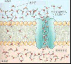 然鹅|敬修堂佰花方：夏天肌肤更容易流失大量的水分，如何全方位保湿？