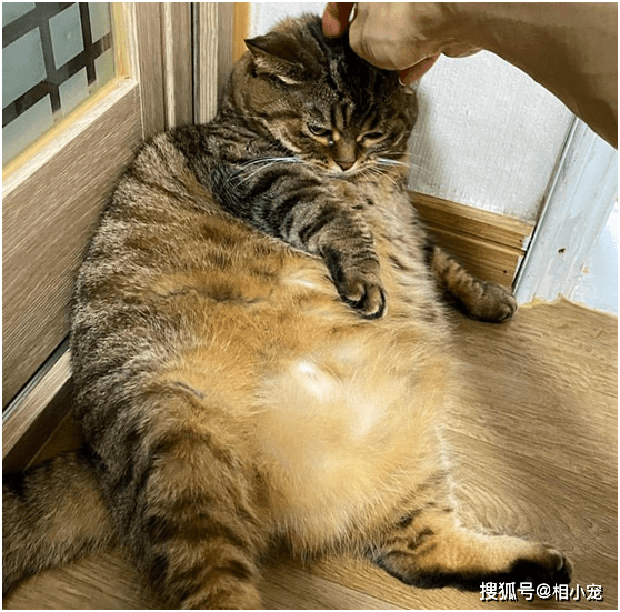 59be07e0752d4b2e9793df5a3d665dff.png