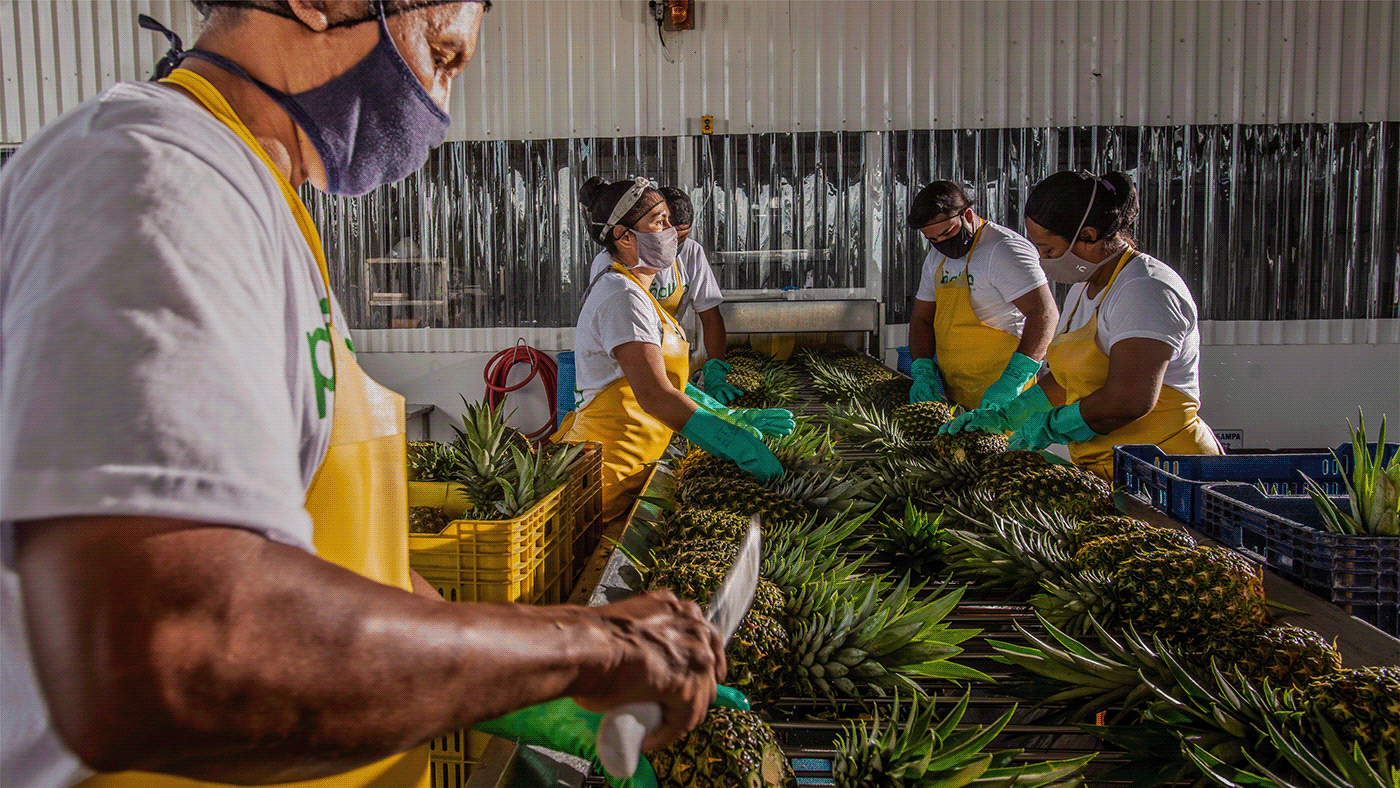 Atelier|平面设计 | Pi?albo 哥斯达黎加水果品牌形象设计