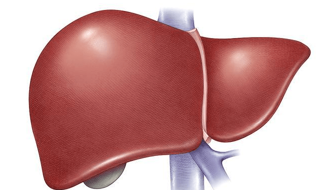 蔬菜|转氨酶是肝脏的晴雨表!提醒父母:厨房这3种蔬菜,明天就扔掉