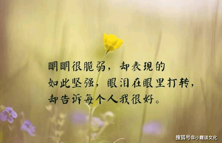 9670d1b8170b4da2beebacb8323c334f.png