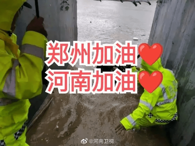 什么|来自河南郑州地快递已经发货了！