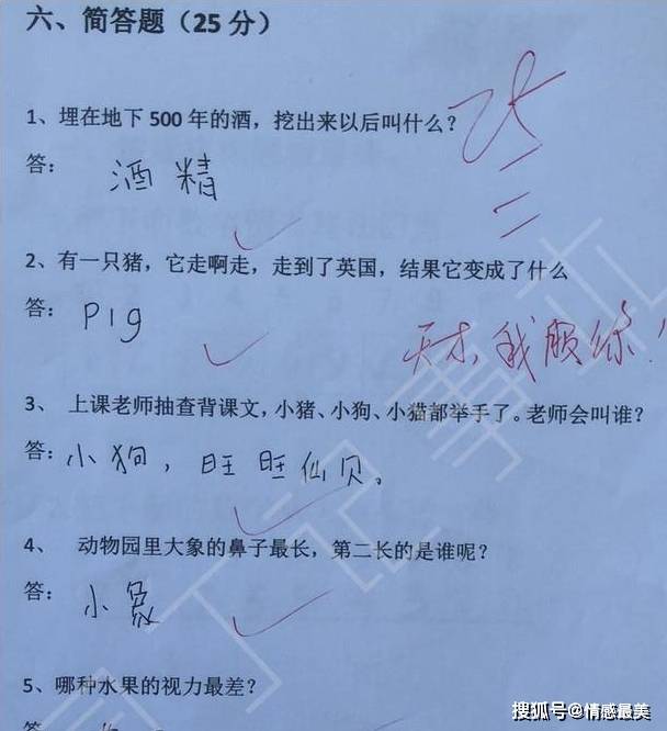 感觉到的英语造句 df307b8fc54f4e13a8f28b119be1550d.jpeg