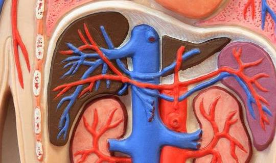 严重|男人肾“透支”严重，面部通常两特点，若你没有，恭喜肾脏还健康