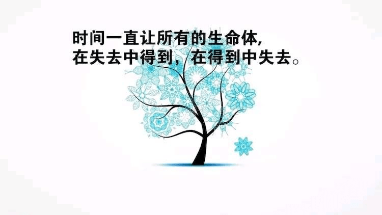 aa53911dc8cc43fba88f53190788542d.png