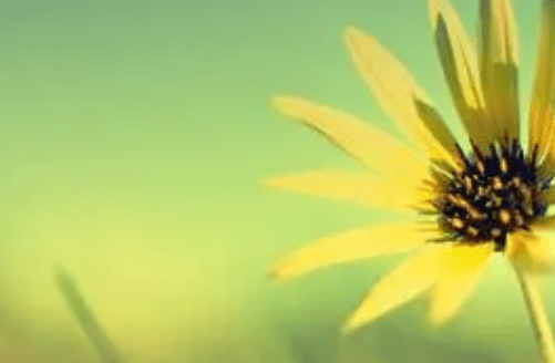 c613c3721ac44dd3b62e28371f010090.png