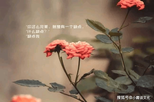 适合发朋友圈的心情说说