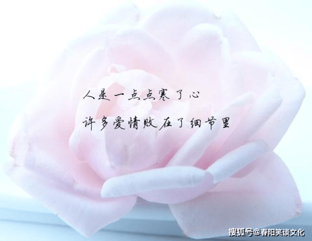 原创表示对一个人彻底失望的说说,句句伤感催泪