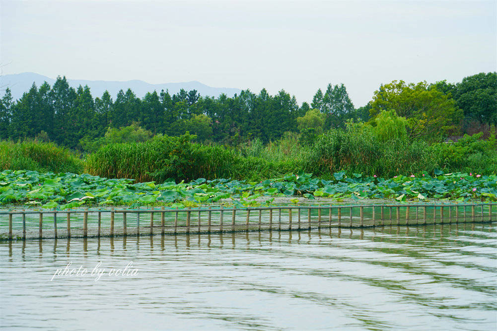 醉美下渚湖可以近距离观察东方宝石朱鹮还能在酷暑夏日玩雪哦