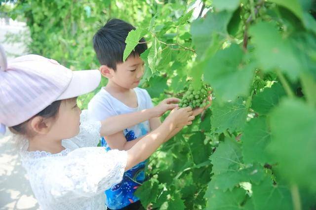 济南人|就是恣儿~ 盛夏光年，济南人把生活过成想要的样子！