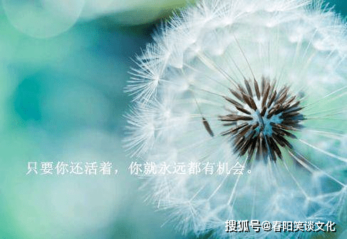 5754e94eb6414f44870852db2c8ae882.png