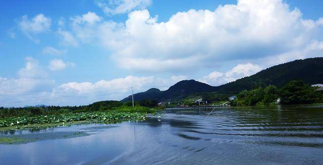 浙江最大的湿地景点，离杭州不远，人少景美，防风女婿茶更是有趣