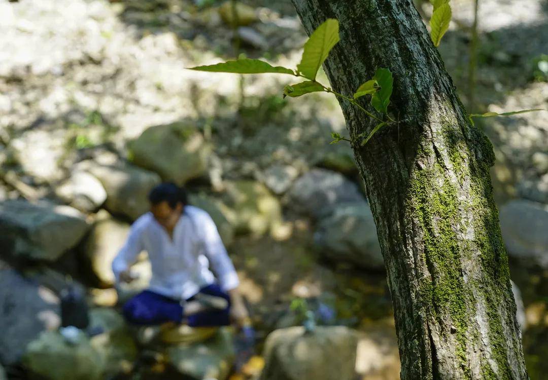 夏日长|大暑 | 长夏终有时，但惜夏日长