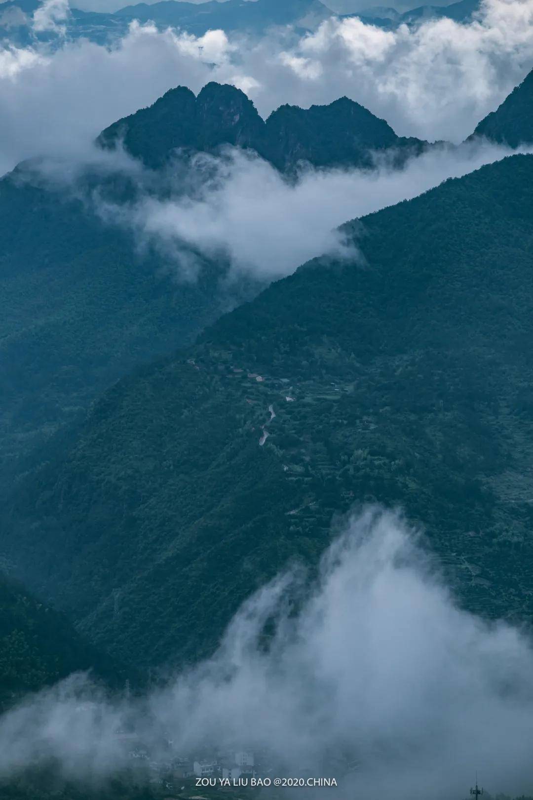 夏日长|大暑 | 长夏终有时，但惜夏日长