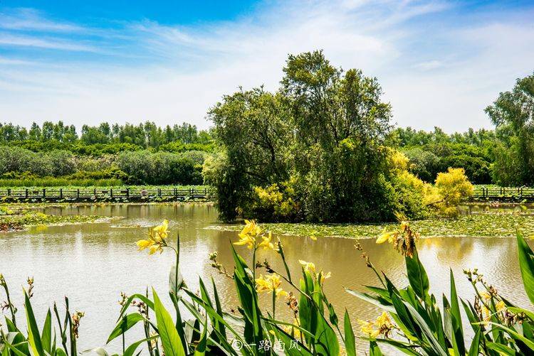 广州最大的湿地公园，和海景融为一体，美得像绿野仙境