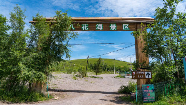 草原|7月去哪避暑？河北坝上草原，海拔1600米处偶遇气温16度“花海”