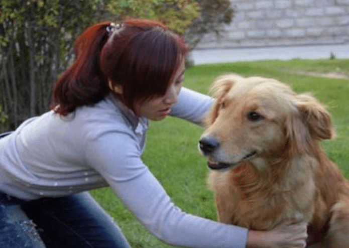 狗为啥会看家护院 f37e082e55a446928e3871a840c007c5.png