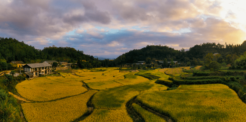 夏日长|大暑 | 长夏终有时，但惜夏日长