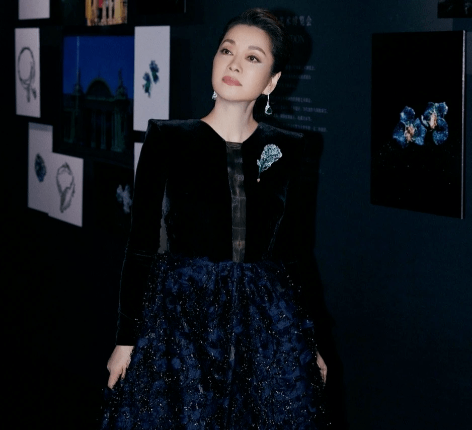 下半身|毛阿敏又“美回来”了,一袭拼接连衣裙成熟优雅,58岁仍惊艳