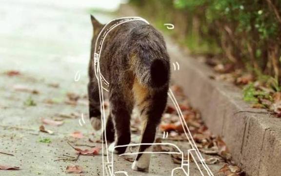 饮食|狗狗“恨你”的7大表现，你家狗子有吗？