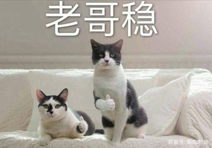 黑色|马思纯戛纳简约大气，娜扎华丽雅致，而奚梦瑶却完全撑不起来！
