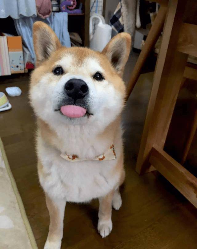 9acf5c45c93049cfac194f2d79f8daf5.jpeg