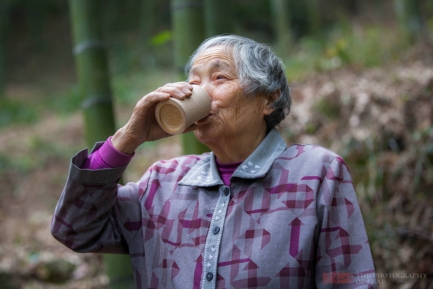 竹酒|亲眼看到活竹子里流出竹酒，为何还有人说是假的？这里的水很深