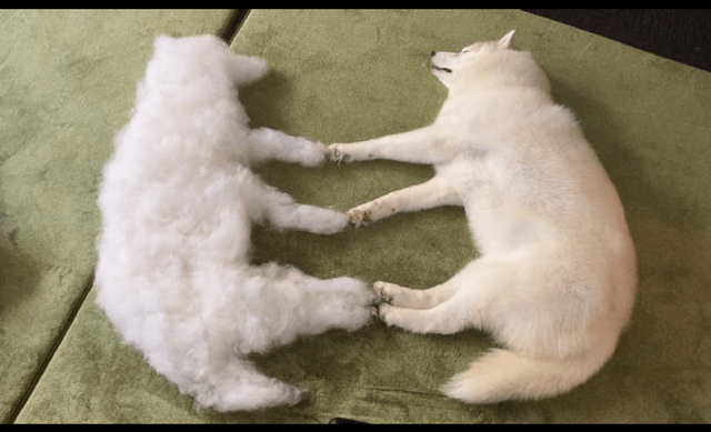 d08f418fc3b04b5d925a75712553514e.png