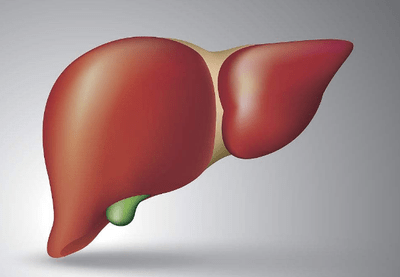 人体|李兰娟:早上是养肝“黄金期”,多吃3种早餐,或肝功变红润