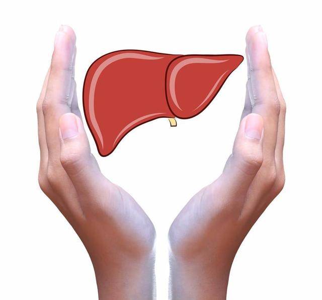 人体|李兰娟:早上是养肝“黄金期”,多吃4种早餐,或肝功能有好处