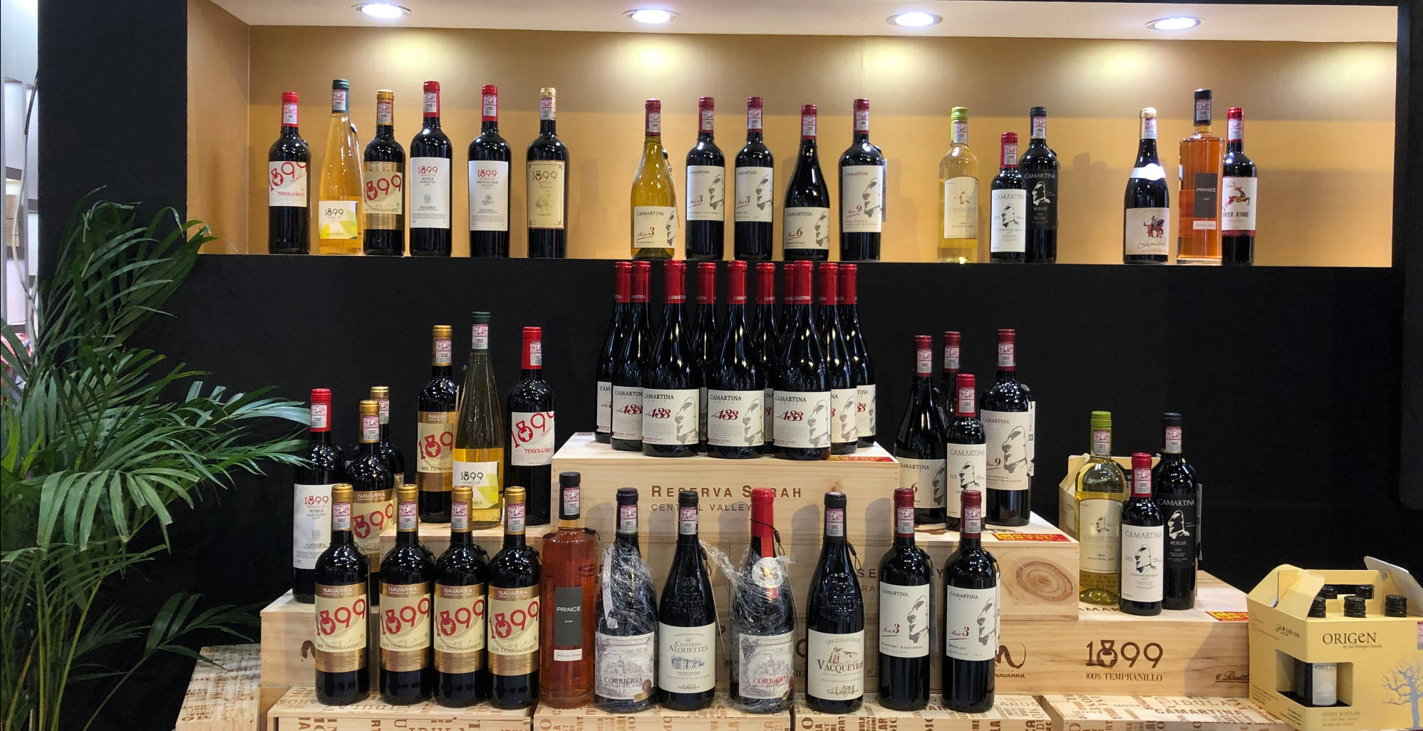 企业|伟通酒业集团开放城市代理,火爆26届国际名酒展