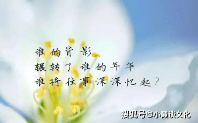 f333c5d142ea4c74b15cf9eba0180b86.png