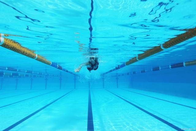 游泳排名_游泳图片卡通(2)