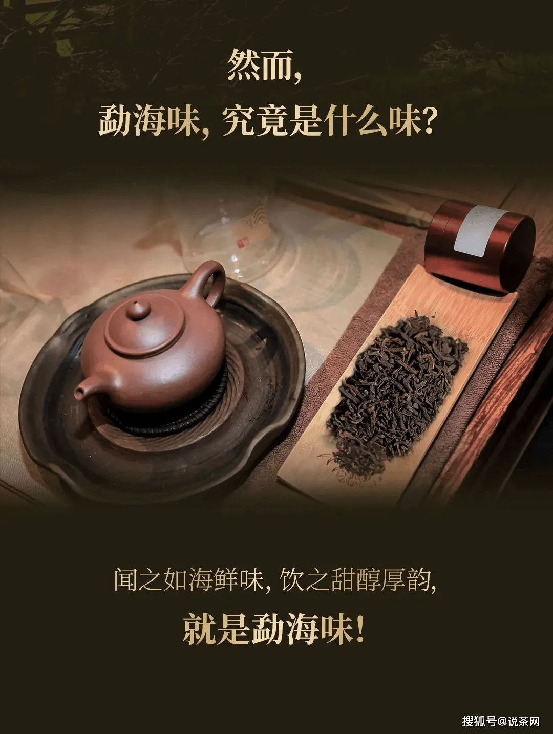 知识科普|今大福2020年大二号，传承20年老班章熟茶精髓，老班章熟茶到底什么味道？