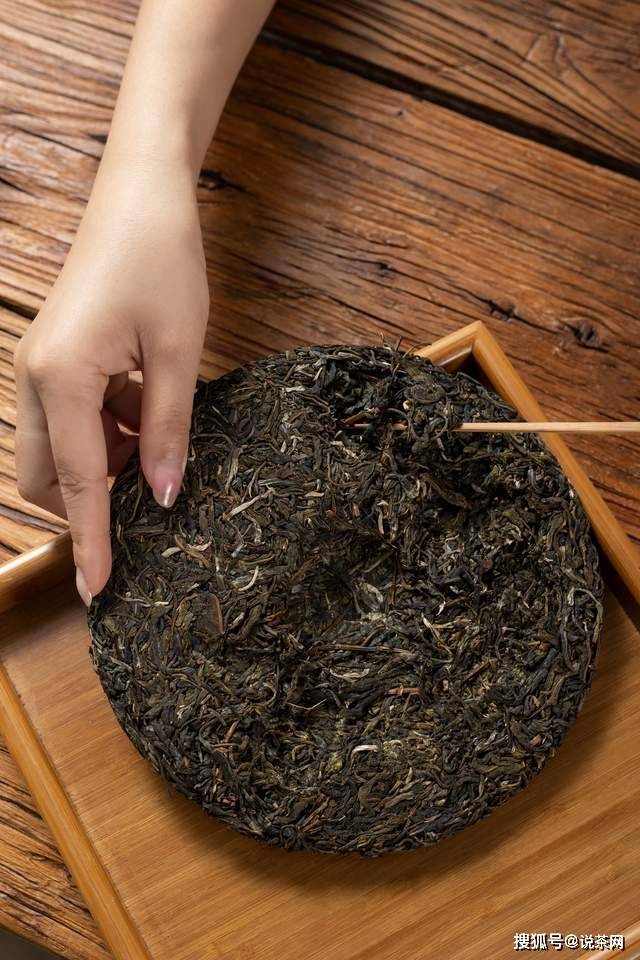 疑点|普洱生茶和熟茶能放在一起保存吗？