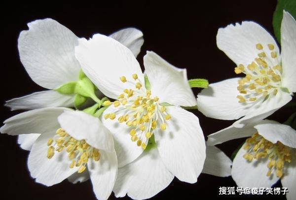 6月21日星座运势 双子雷厉风行 天秤积极主动 射手坚持到底 工作