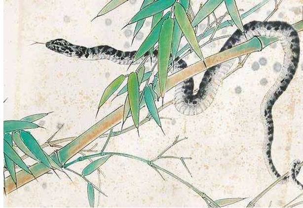 这三大生肖在40岁后大发特发 越老越财大气粗 财运直飞天际 手机搜狐网