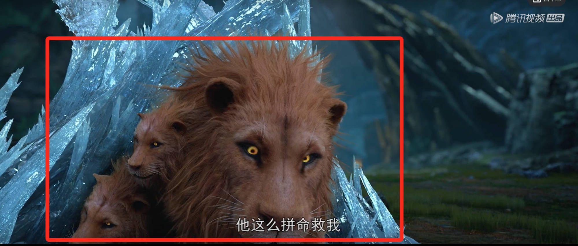 蜘蛛|完美世界：石昊与火灵儿重逢，九头狮子太萌，红烧狮子头太香