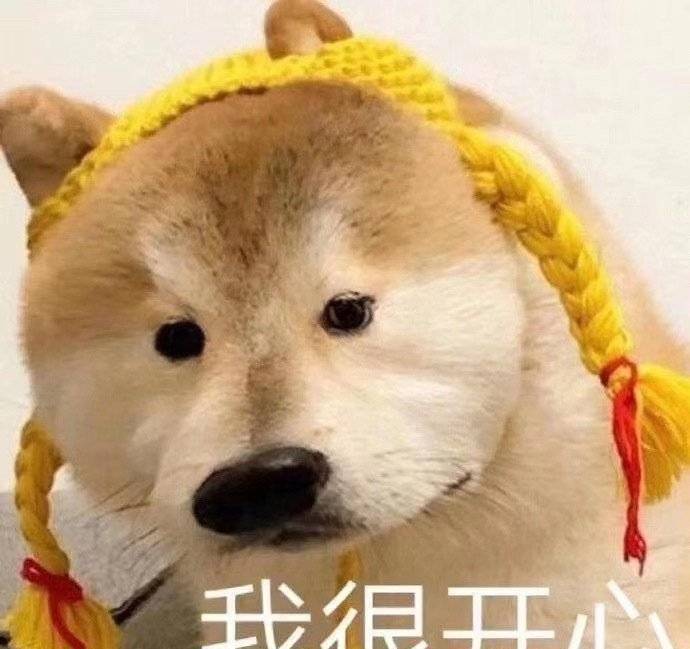 69fecfbd52b1490c8a67b5c1639c7fc1.jpeg