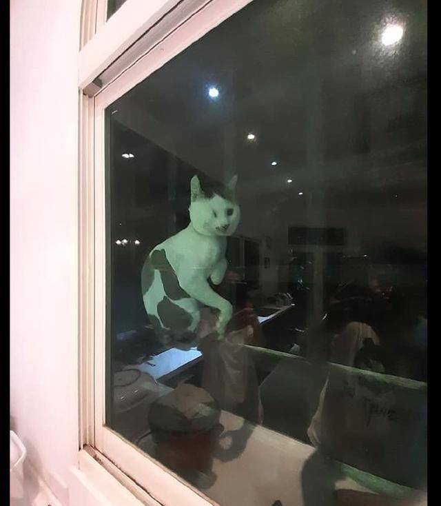 7e5c99fdfd574f9eb9bcf2572fee39f5.jpeg