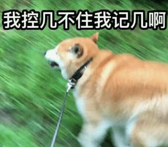 9fadeecf8a454b66b826fc0d0ab08e05.jpeg