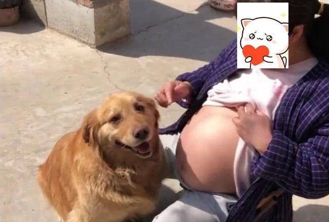 f7143b5df5f84eae8b08aba07ee74e57.jpeg