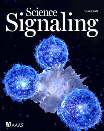 TIM-3是T细胞耗竭的标志物，靶向TIM-3可恢复T细胞抗癌活力_Tim-