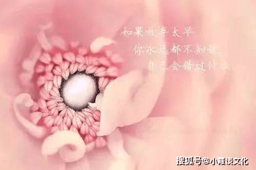 如何给女生说早安 4c83f28a65b1450da43e5c9a14acead8.png