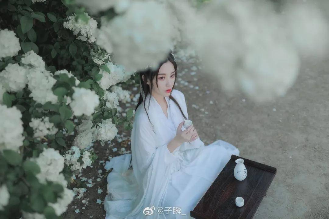 摄影|汉服小仙女：花开花落又一期