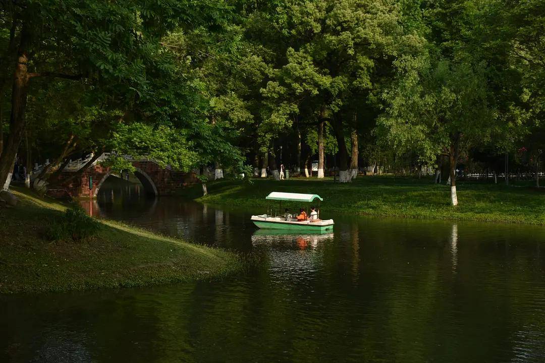 幼儿园|绿就一个字，可是已经把全世界都融化了（一个幼儿园教师的快乐暑假）