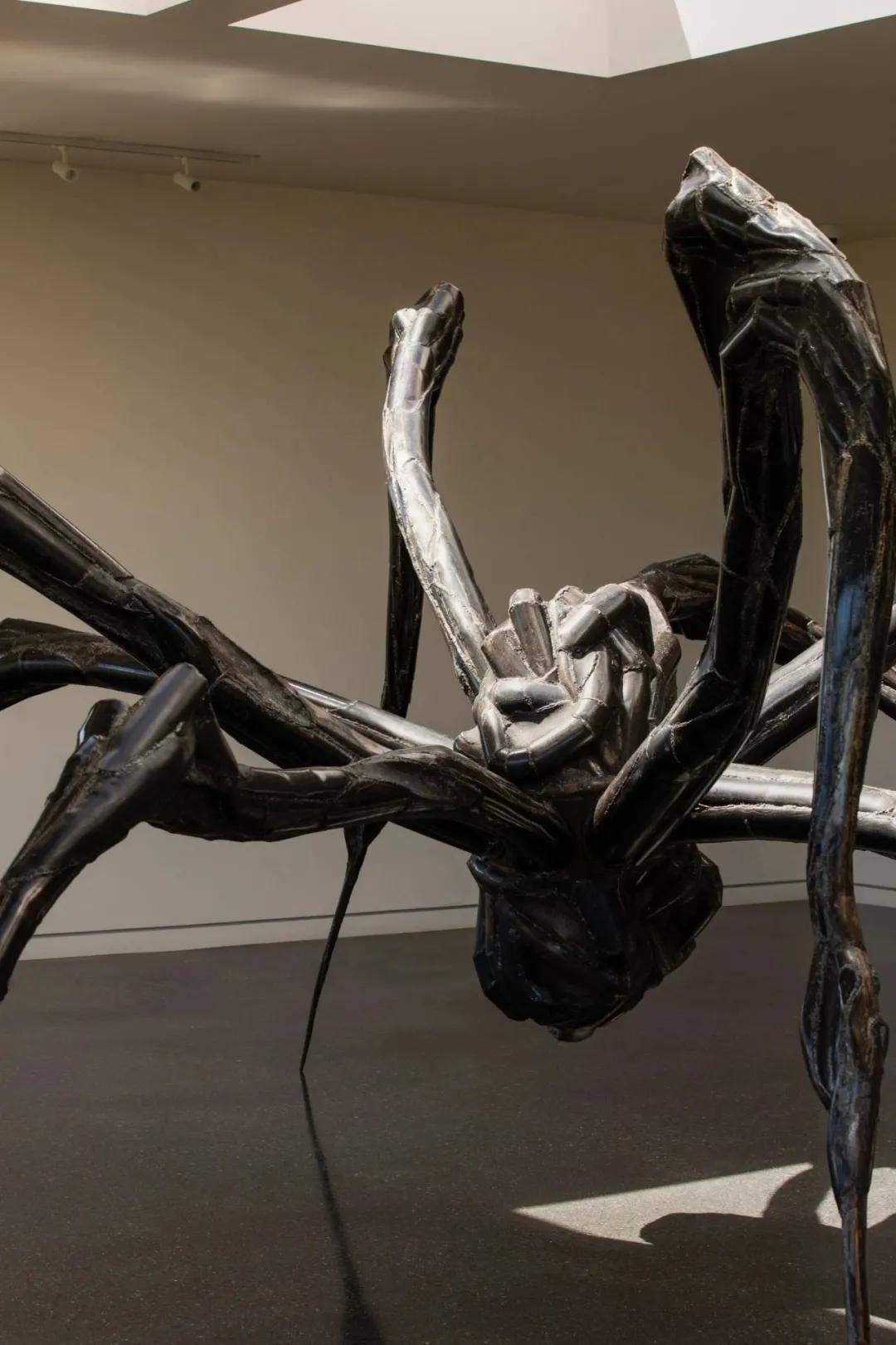 葡萄|David Thulstrup新作 | 加州葡萄酒庄里的接待中心