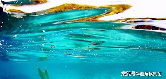 人鱼曾经在中国出现,《山海经》中的氐人族,就是人面鱼身的?