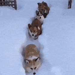 皮囊|搞笑GIF:看看这个孩子,像不像第一次下厨的你?