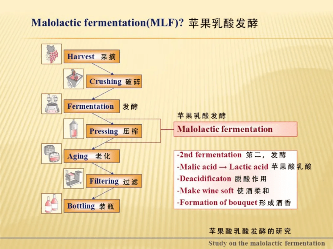 温度|别卡速：格鲁吉亚葡萄酒品酒师课程（六）